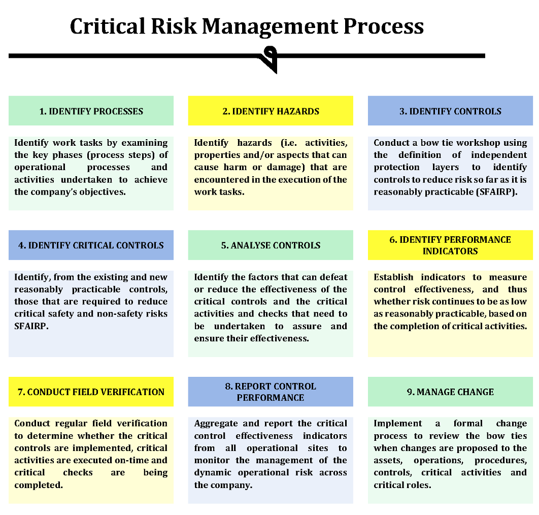 critical risks business plan